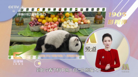 热99re久久精品天堂vr